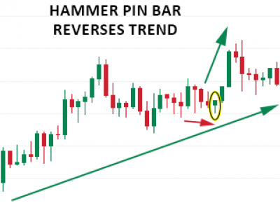 The Hammer Bullish Pin Bar Candlestick Pattern Trading Tips