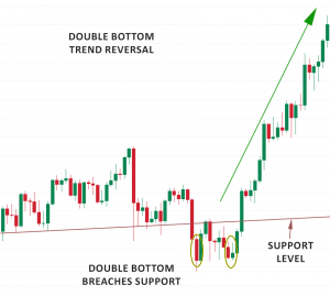 Example Candlestick Chart for the Double Bottom Pattern with a Bull Rally Reversal