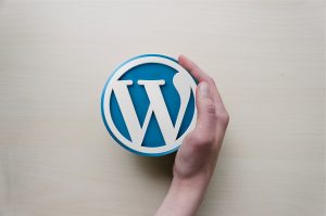 Hand holding a WordPress software logo