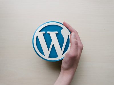Develop & Sell Your Own Software: WordPress Plugins, SaaS & More