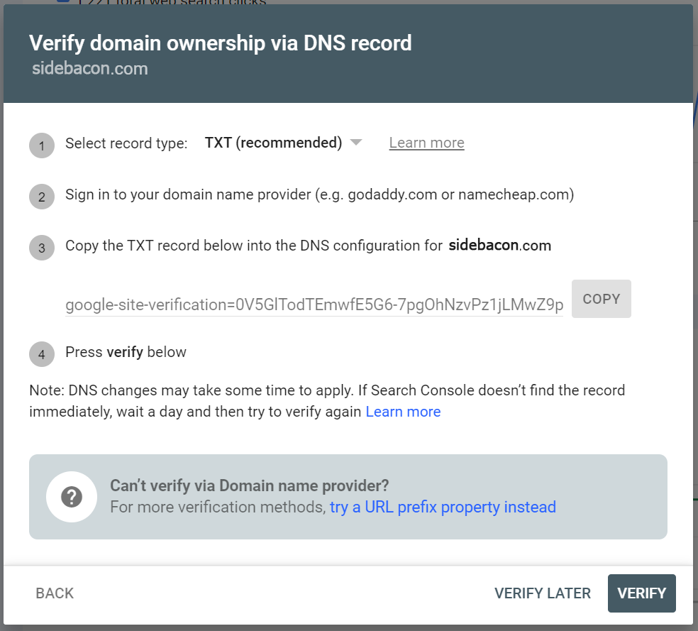 Verify Domain Name Ownership