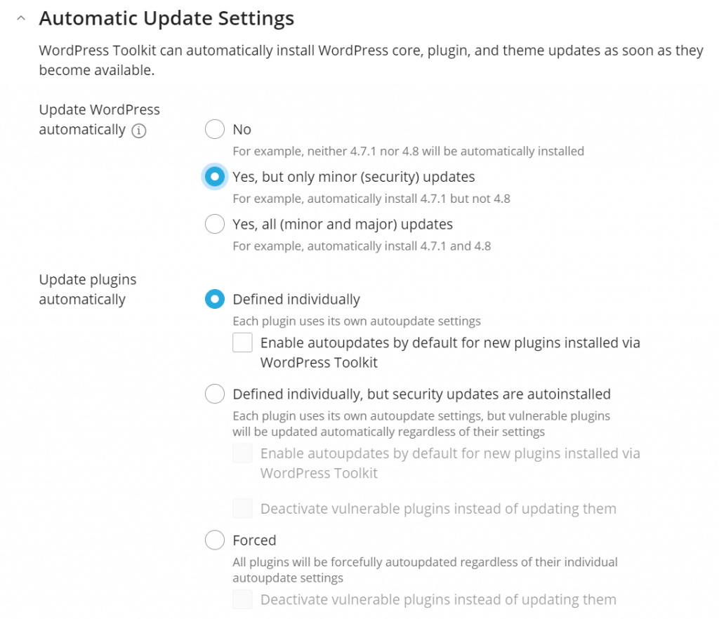 Settings for Automatic WordPress Core & Plugin Updates